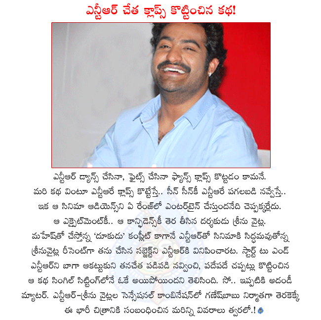 hero ntr next movie,ntr and srinu vytla combination movie,srinu vytla